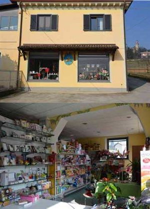 SANLORENZO MARCO Prodotti p...